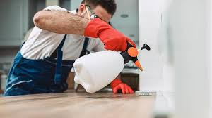 Emergency Pest Control in Grand Blanc, MI