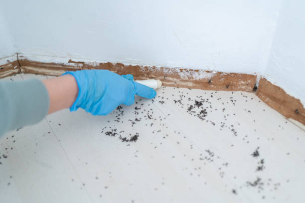 Best Pest Exclusion Services  in Grand Blanc, MI